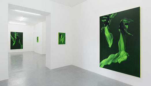 Fino al 1.XII.2017 | Daniel Lergon. Unter Grün | Galleria Mario Iannelli, Roma
